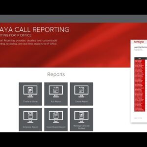 Avaya Call Reporting