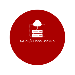 SAP HANA Backup